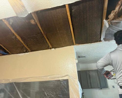 5e371e2b-125a-4ba7-a2c4-a9ac52198e83